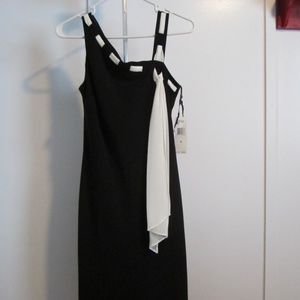 Brand New With Tags | EvanPicone Black/Ivory Dress